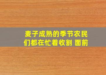 麦子成熟的季节农民们都在忙着收割 面前